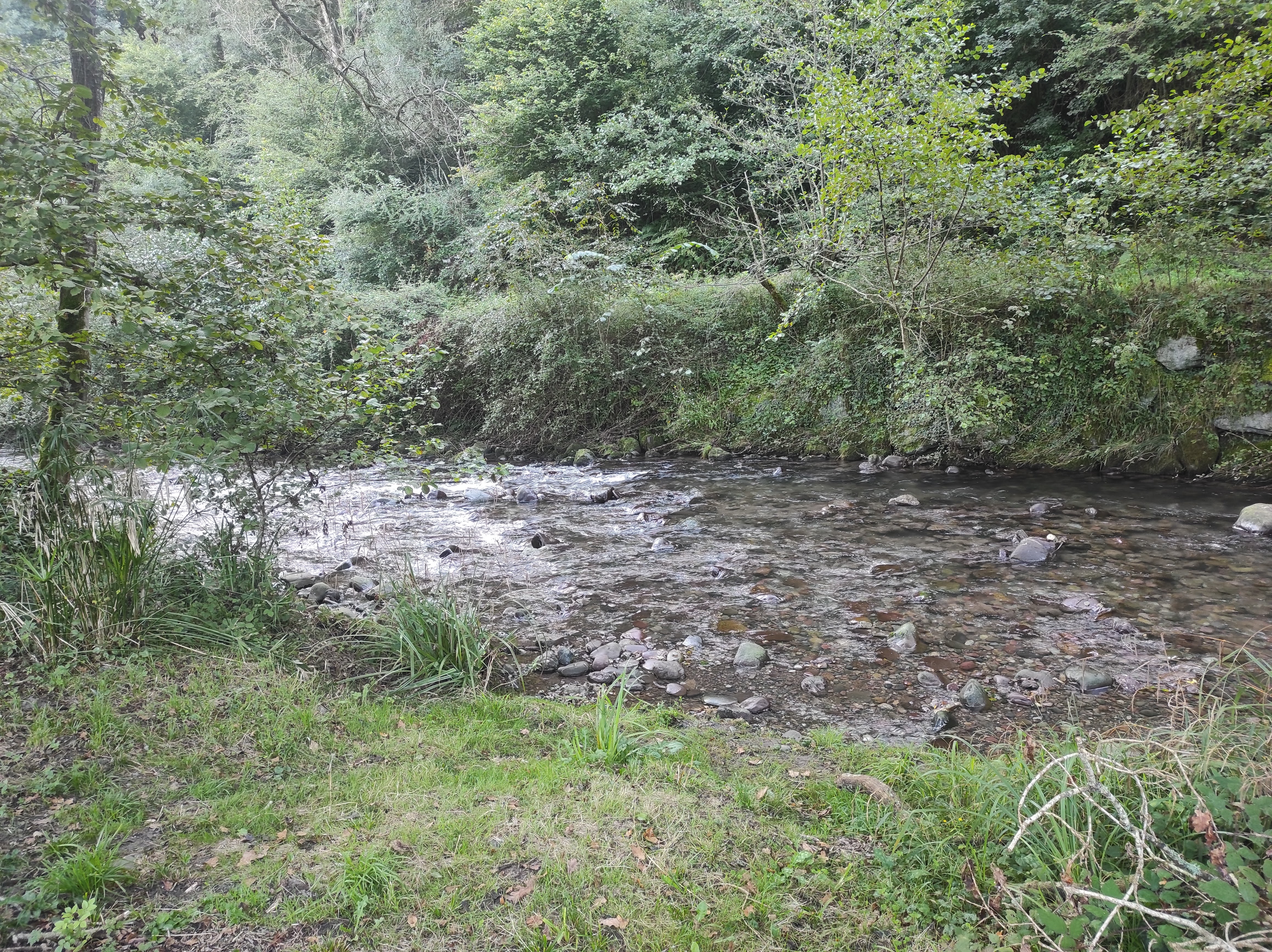 Photo n° 1 de l'avis de Bettina.e fait le 13/09/2023 à 19:52