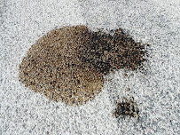 Rick's Family Carpet Care, Inc - Photo 9 - Car repair in , Tacoma