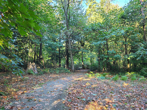 Park «Morrill Meadows Park», reviews and photos, 10600 SE 248th St, Kent, WA 98030, USA