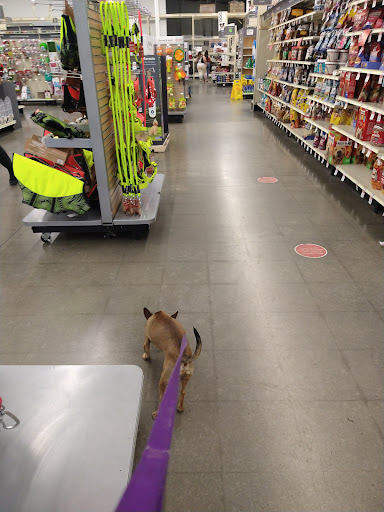 Pet Supply Store «PetSmart», reviews and photos, 13764 W Bell Rd, Surprise, AZ 85374, USA
