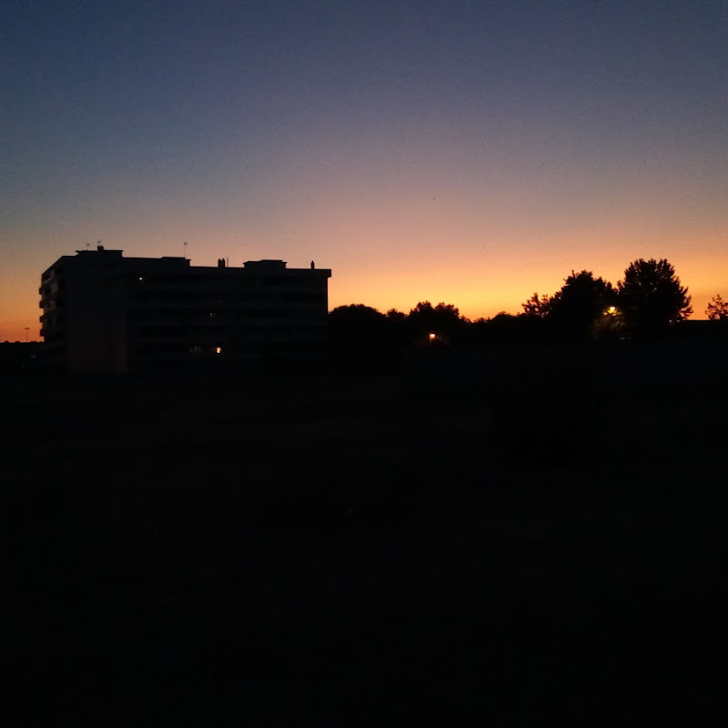 3 image