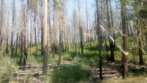 Harley-Davidson Dealer «Jamestown Harley-Davidson», reviews and photos, 18275 CA-108, Jamestown, CA 95327, USA