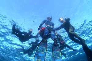 Onpoint Spearfishing and Freediving image