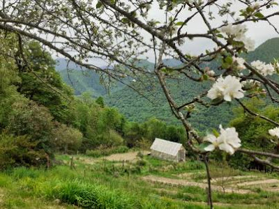 Micro ferme Végétale AlpyTerre à Balacet