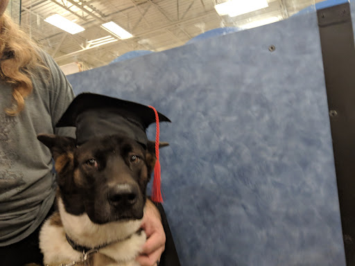 Pet Supply Store «PetSmart», reviews and photos, 11132 Abercorn St, Savannah, GA 31419, USA