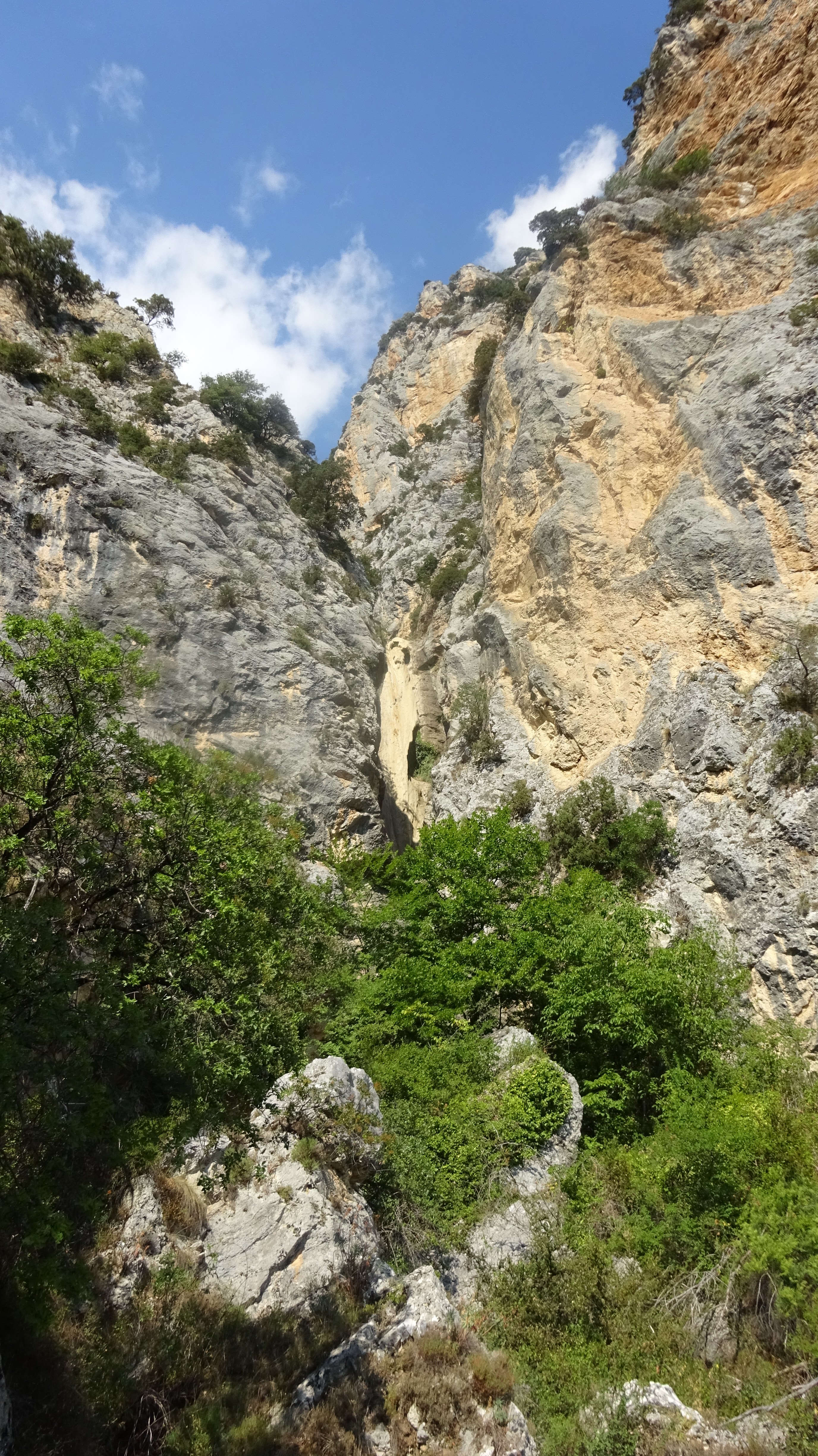 Photo n° 3 de l'avis de Wendelyn.o fait le 20/07/2022 à 17:19