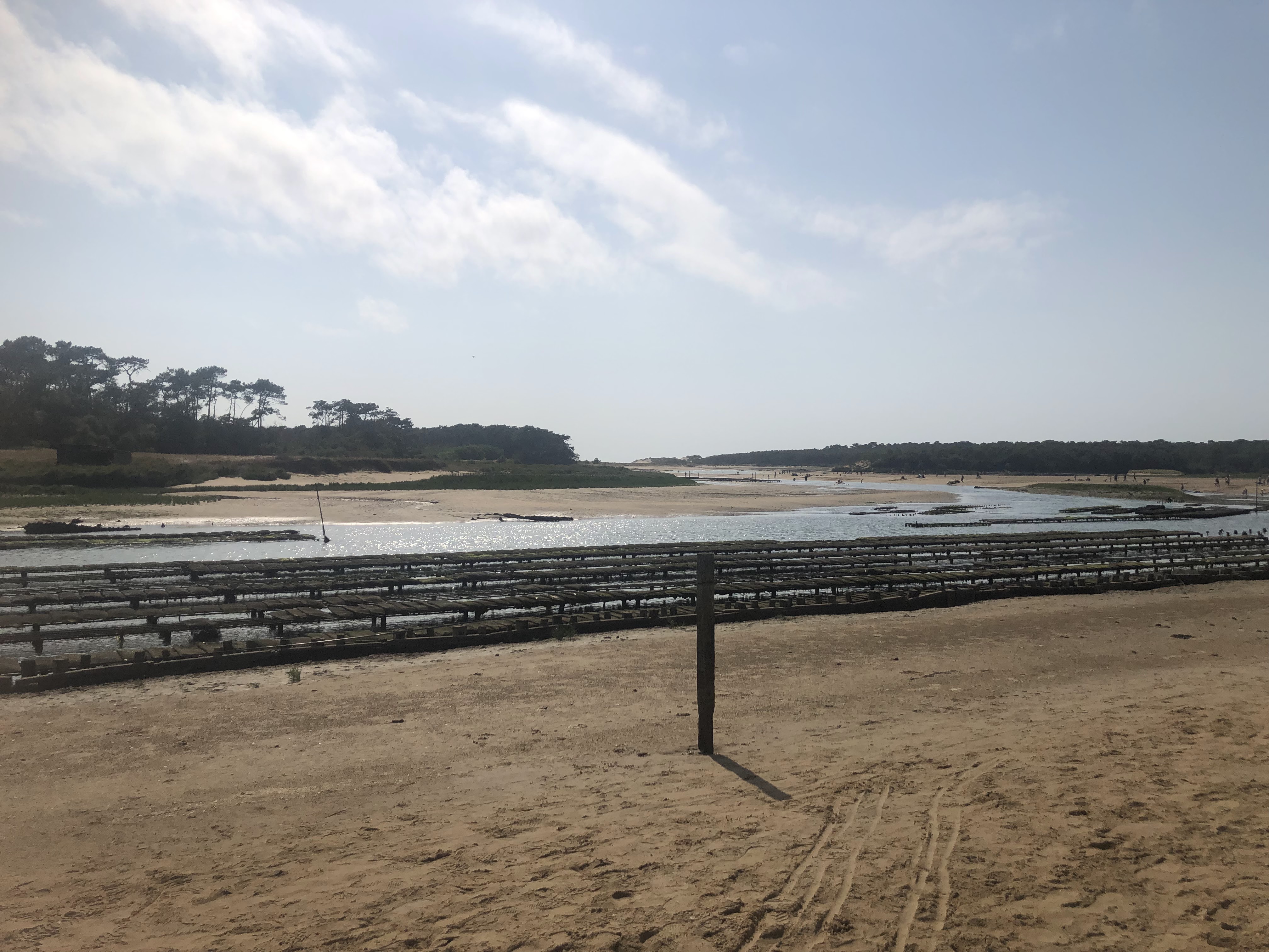 Photo n° 1 de l'avis de La.e fait le 23/07/2022 à 15:10