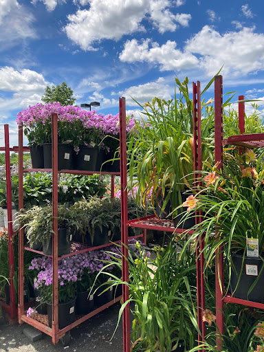 Home Improvement Store «The Home Depot», reviews and photos, 244 US-202, Flemington, NJ 08822, USA