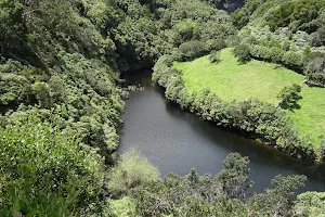 Recreational Forest Reserve "Luís Paulo Camacho" image