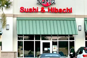 Sumo sushi image