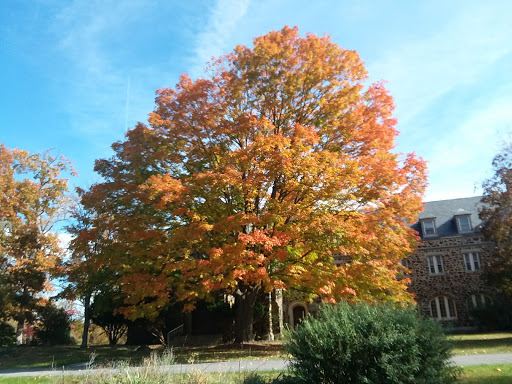 State Park «Patapsco Valley State Park», reviews and photos, 8020 Baltimore National Pike, Ellicott City, MD 21043, USA