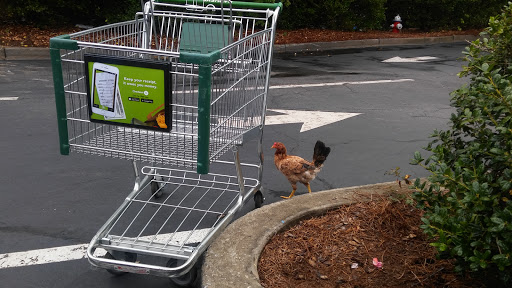 Grocery Store «Harveys Supermarket», reviews and photos, 3900 N Main St, Columbia, SC 29203, USA