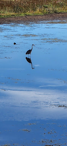 National Reserve «Montezuma National Wildlife Refuge», reviews and photos, 3395 US-20, Seneca Falls, NY 13148, USA