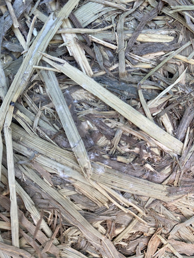 Pet Store «Irish Trail Farm & Pet Supply», reviews and photos, 102 S Hwy 27, Clermont, FL 34711, USA