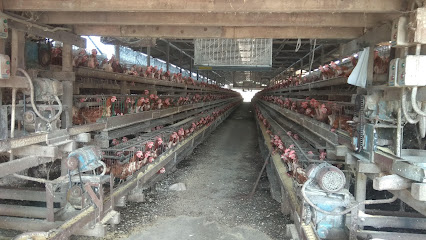 Seng Huat Poultry