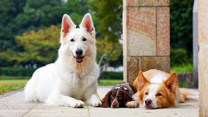 dogtraining WITHDOG（ドッグトレーニング ウィズドッグ）