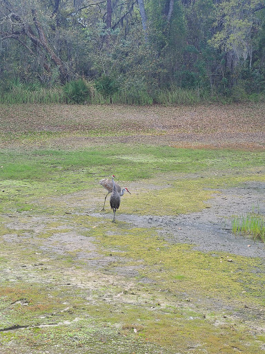 Community Park «Summerfield Community Park», reviews and photos, 6402 Lakewood Ranch Blvd, Bradenton, FL 34202, USA