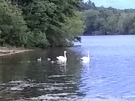 Park «Stoddard Park», reviews and photos, Norfolk St, Holliston, MA 01746, USA