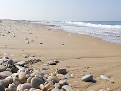 Photo de Campiotel beach avec un niveau de propreté de très propre