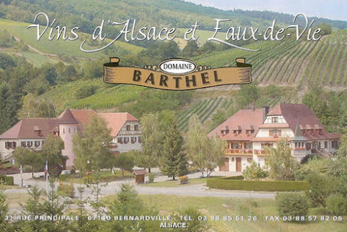 Magasin de vins et spiritueux Domaine Barthel Antoine et Tamara - Bernardvillé Bernardvillé