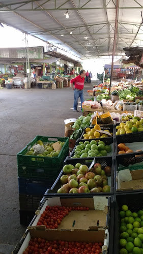 Opiniones de Comunidad de Comerciantes Locatarios del Mercado Vega Poniente en Ñuñoa - Tienda de ultramarinos