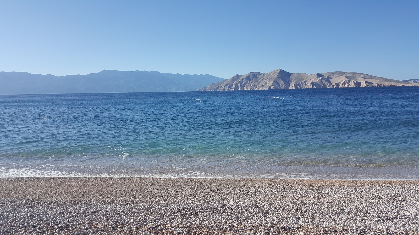 Plaza Bunculuka'in fotoğrafı - tatil için iyi evcil hayvan dostu nokta