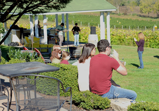 Vineyard «Veramar Vineyard», reviews and photos, 905 Quarry Rd, Berryville, VA 22611, USA