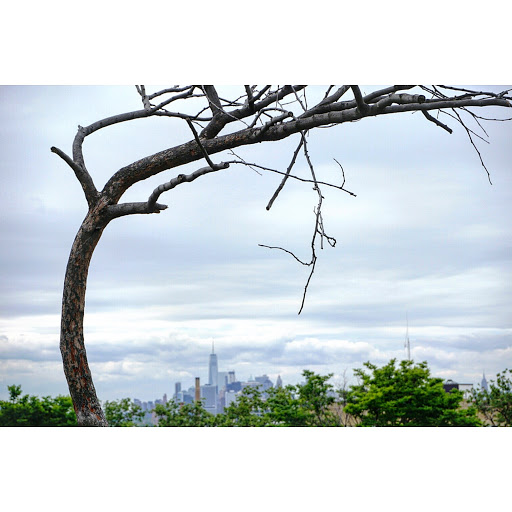 Park «Sunset Park», reviews and photos, 7th Ave & 43rd St, Brooklyn, NY 11232, USA