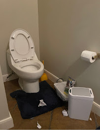 Perfect Peace Clean Living - Photo 2 - Car repair in , Sugar Land