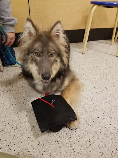 Pet Supply Store «PetSmart», reviews and photos, 7177 SE 29th St, Midwest City, OK 73110, USA