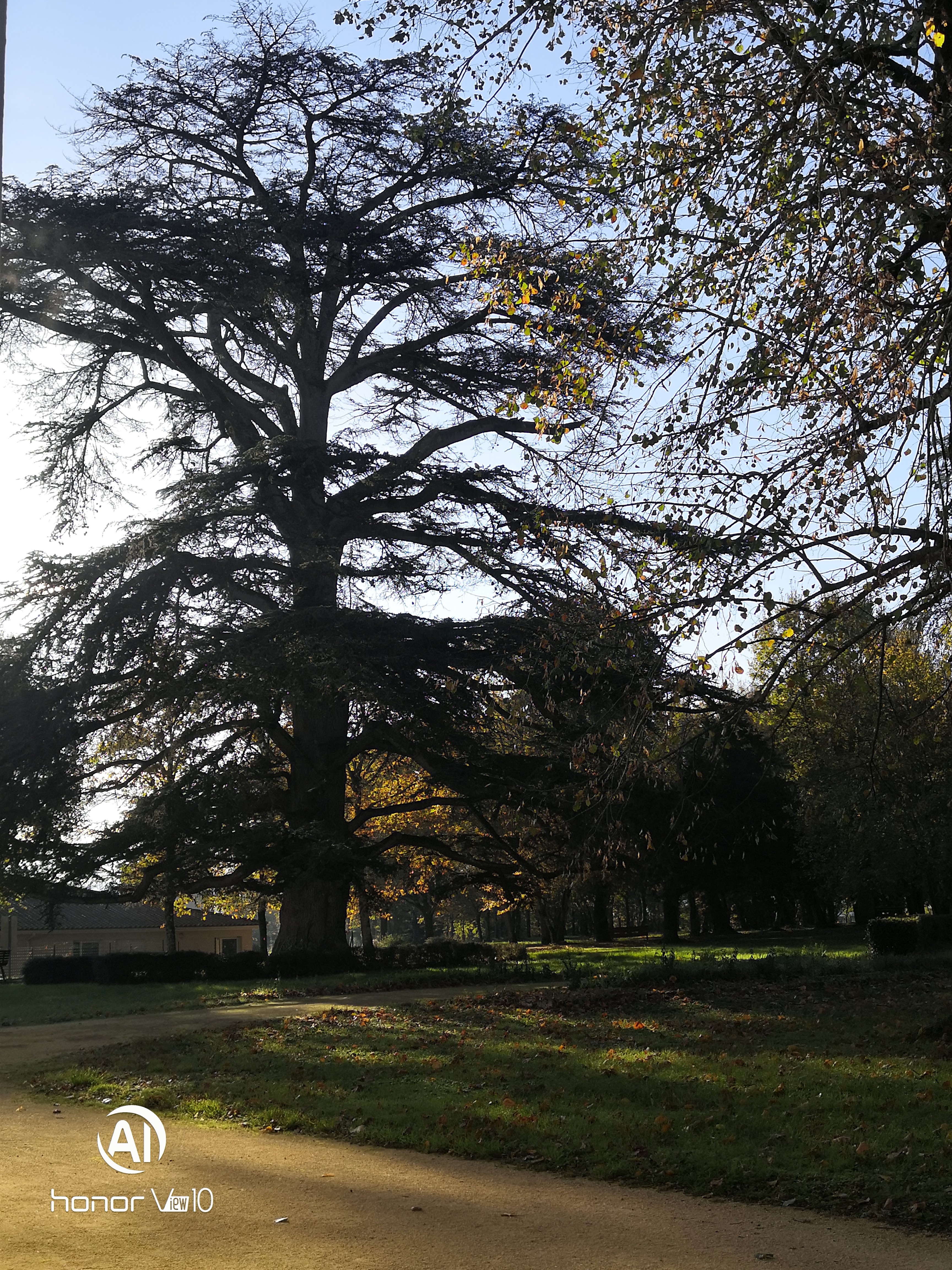 Photo n° 7 de l'avis de Gabrielle.a fait le 25/11/2020 à 16:36