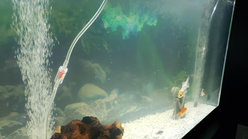 Pet Supply Store «Pet Supplies Plus», reviews and photos, 700 Boston Rd Suite 12b, Billerica, MA 01821, USA