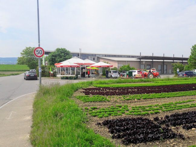 Gemüsepavillon Blum - Supermarkt