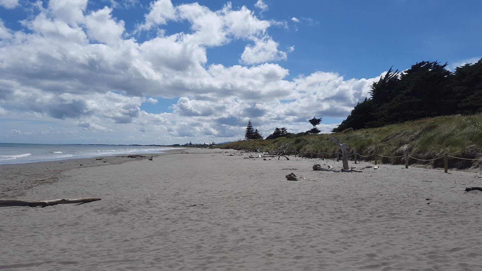 Waikanae Beach'in fotoğrafı - rahatlamayı sevenler arasında popüler bir yer