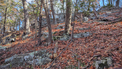 Nature Preserve «John Burroughs Slabsides», reviews and photos, Burroughs Dr, West Park, NY 12493, USA