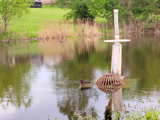 Park «Cottonwood Park», reviews and photos, 4051 N Story Rd, Irving, TX 75038, USA