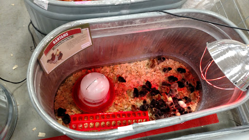 Home Improvement Store «Tractor Supply Co.», reviews and photos, 1501 W Expy 83, Mission, TX 78572, USA