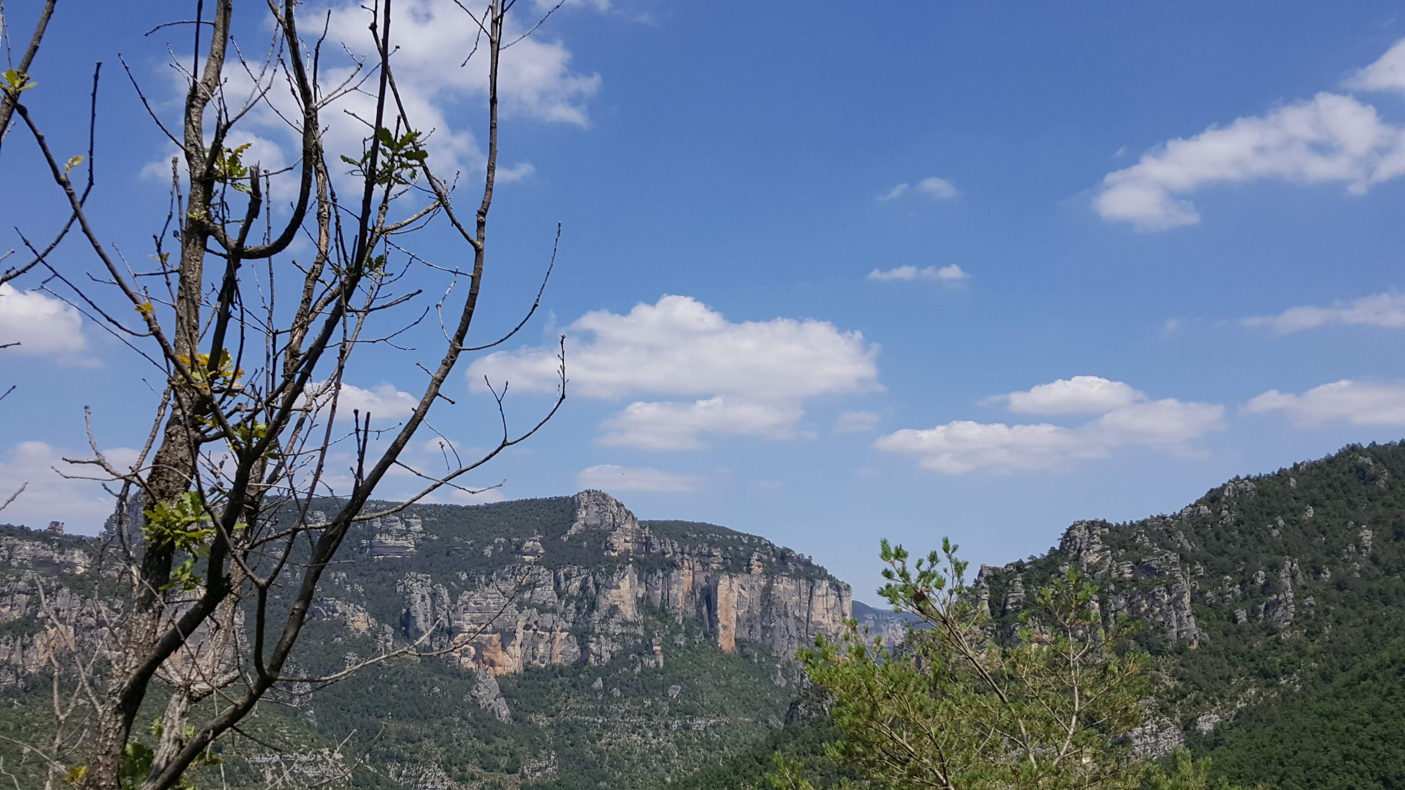 Photo n° 7 de l'avis de Sylvie.a fait le 13/08/2018 à 16:58