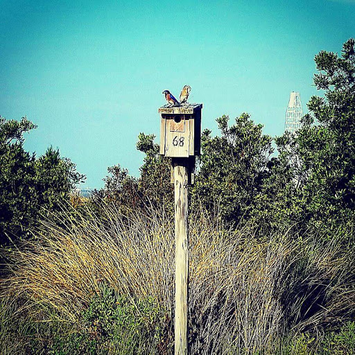 Private Golf Course «Sea Island Golf Course», reviews and photos, 100 Retreat Avenue, Saint Simons Island, GA 31522, USA