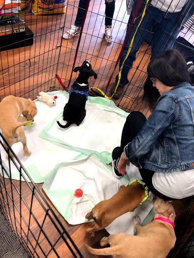 Pet Store «Pet Valu», reviews and photos, 2290 Central Park Ave, Yonkers, NY 10701, USA