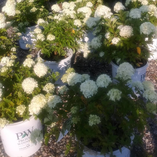 Garden Center «English Gardens», reviews and photos, 44850 Garfield Rd, Charter Twp of Clinton, MI 48038, USA