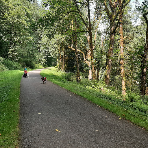 Tourist Attraction «Preston-Snoqualmie Trail Head parking», reviews and photos, Preston-Snoqualmie Trail, Fall City, WA 98024, USA
