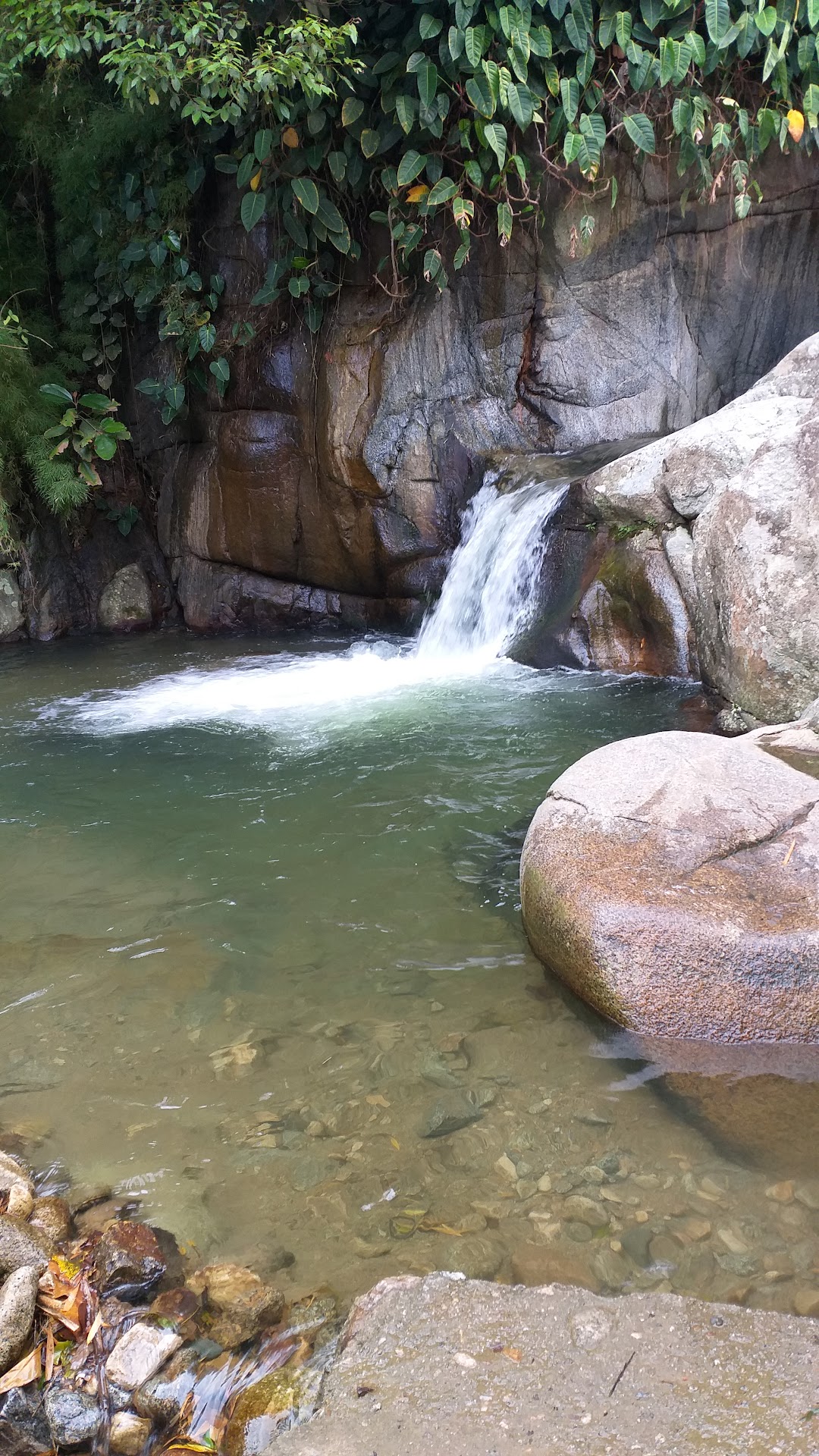 Molino Viejo - Barbosa