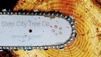 Steel City Tree Co