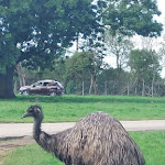 Photo n° 3 de l'avis de Vincent.e fait le 11/05/2024 à 16:03 pour Planète Sauvage à Port-Saint-Père