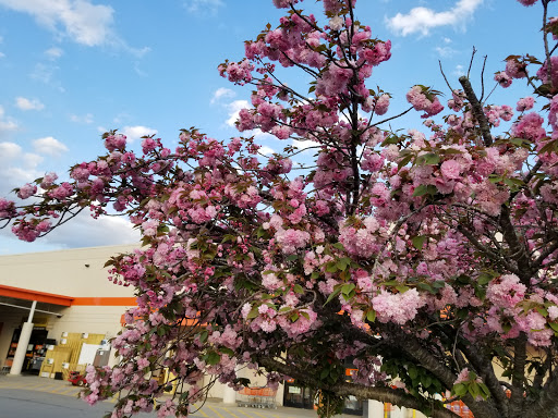 Home Improvement Store «The Home Depot», reviews and photos, 795 Fairview Rd, Asheville, NC 28803, USA