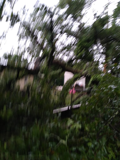 Park «Panama Park», reviews and photos, 6912 Buffalo Ave, Jacksonville, FL 32208, USA