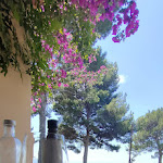 Photo n°12 de l'avis de Daniele.a fait le 13/06/2023 à 17:27 sur le  Ristorante a San Vincenzo Il Sale à San Vincenzo