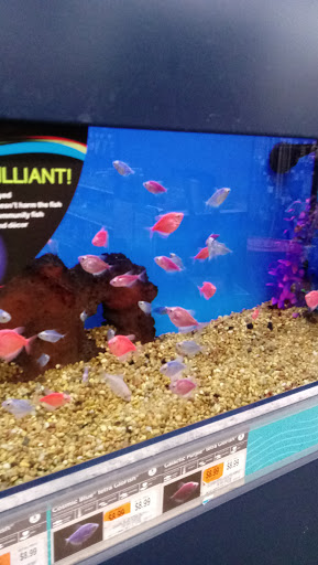 Pet Supply Store «Petco Animal Supplies», reviews and photos, 450 Hackensack Ave, Hackensack, NJ 07601, USA