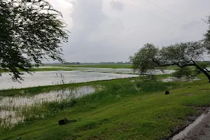 Musapur Sea Beach image